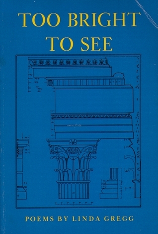Too Bright to See book cover