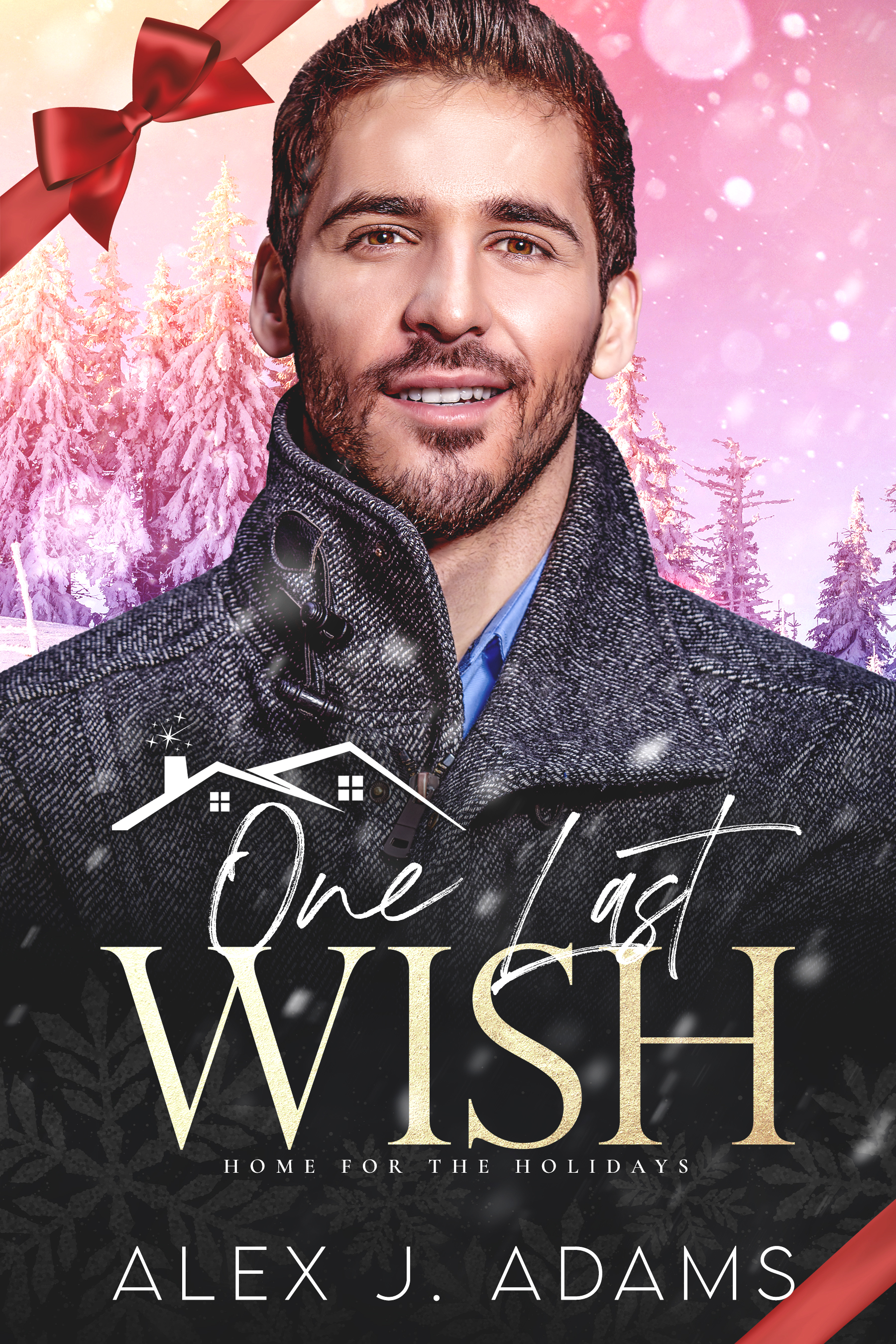 One Last Wish book cover