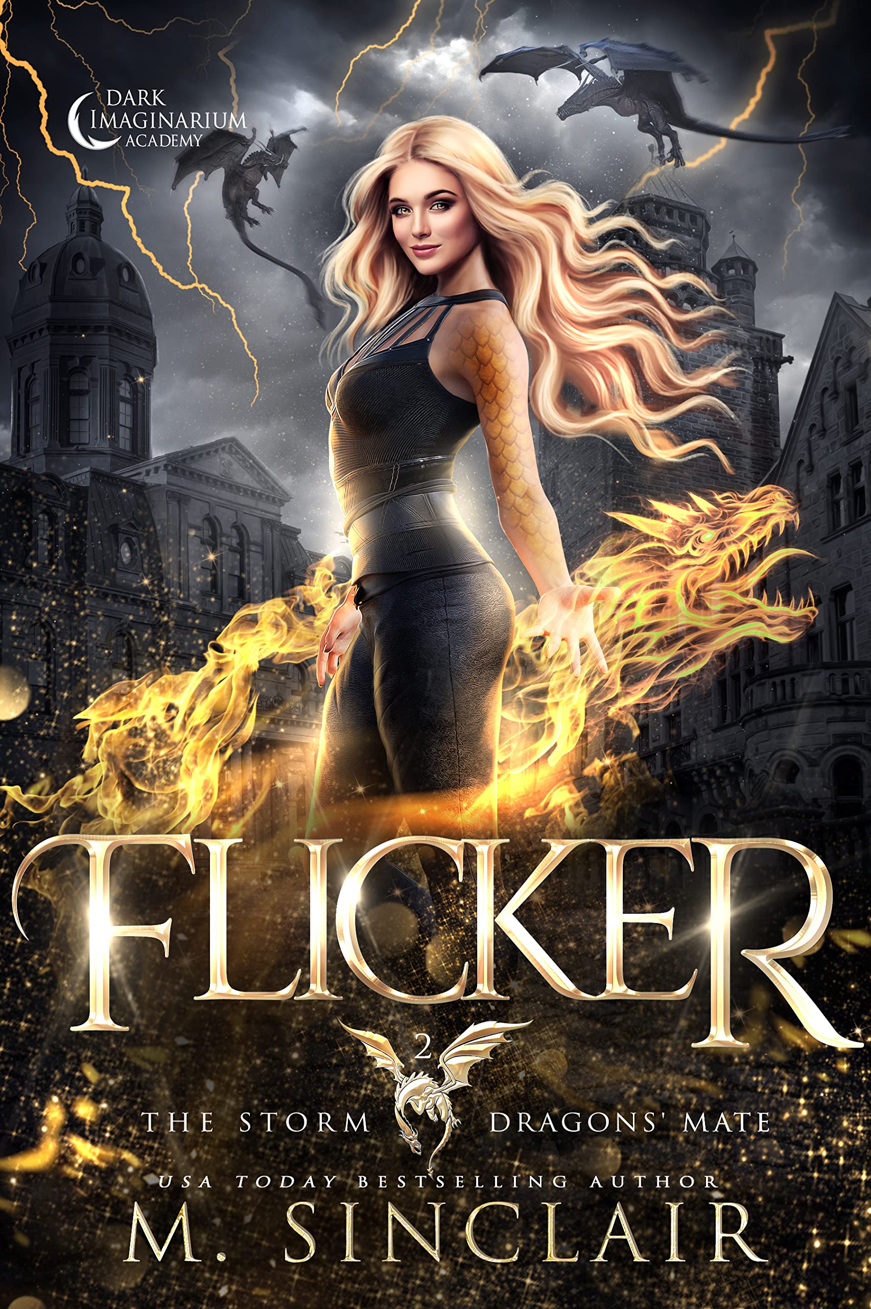 The Storm Dragons' Mate book cover 2