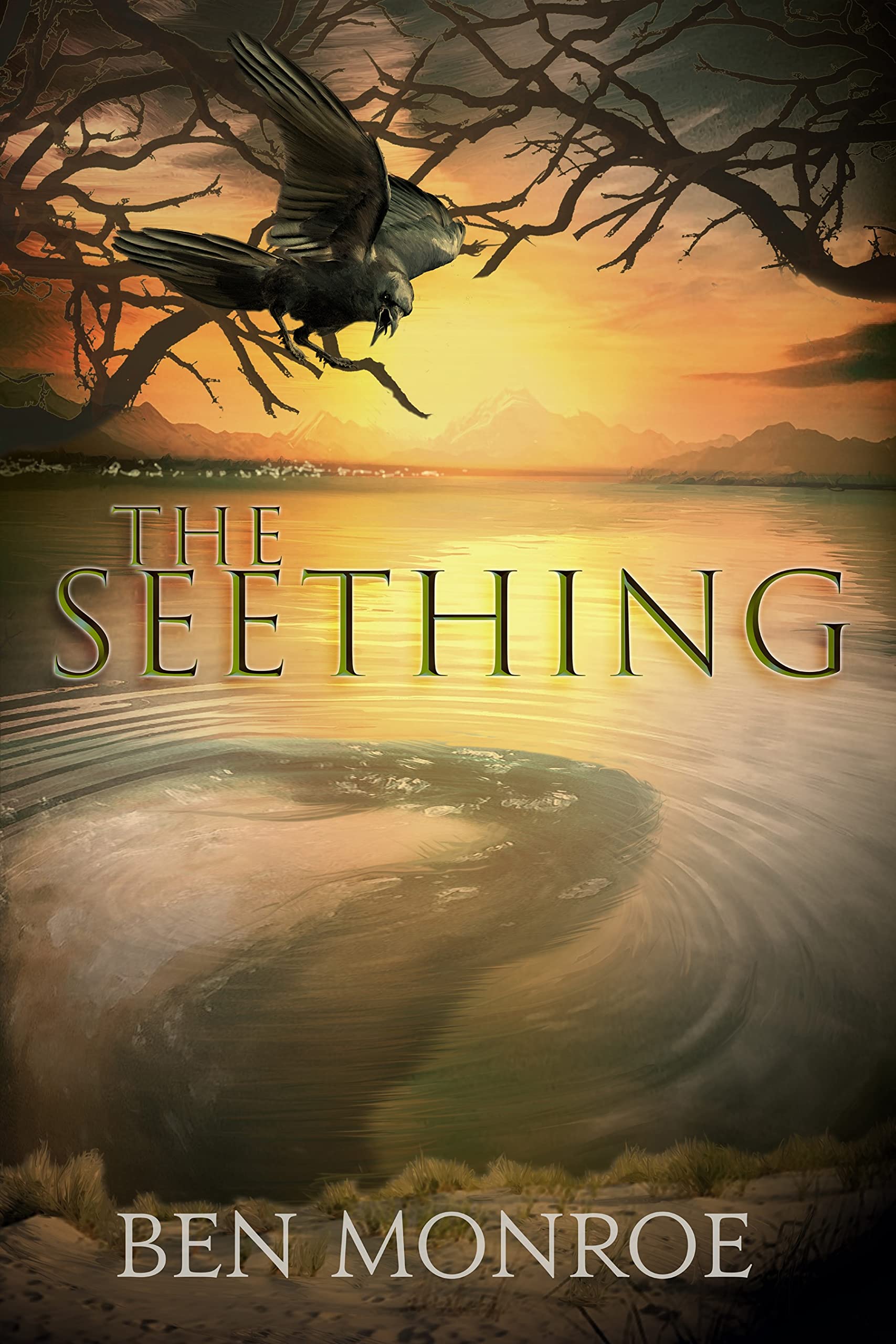 The Seething book cover