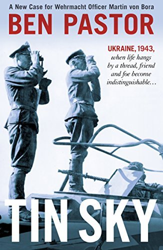 Tin Sky book cover