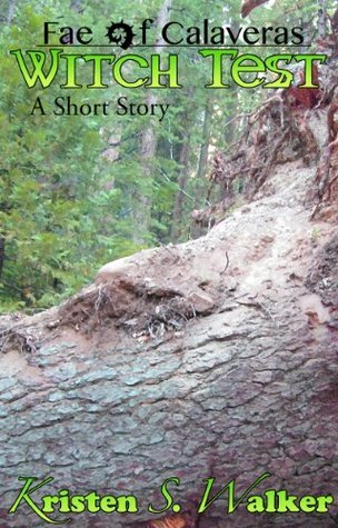 Witch Test book cover