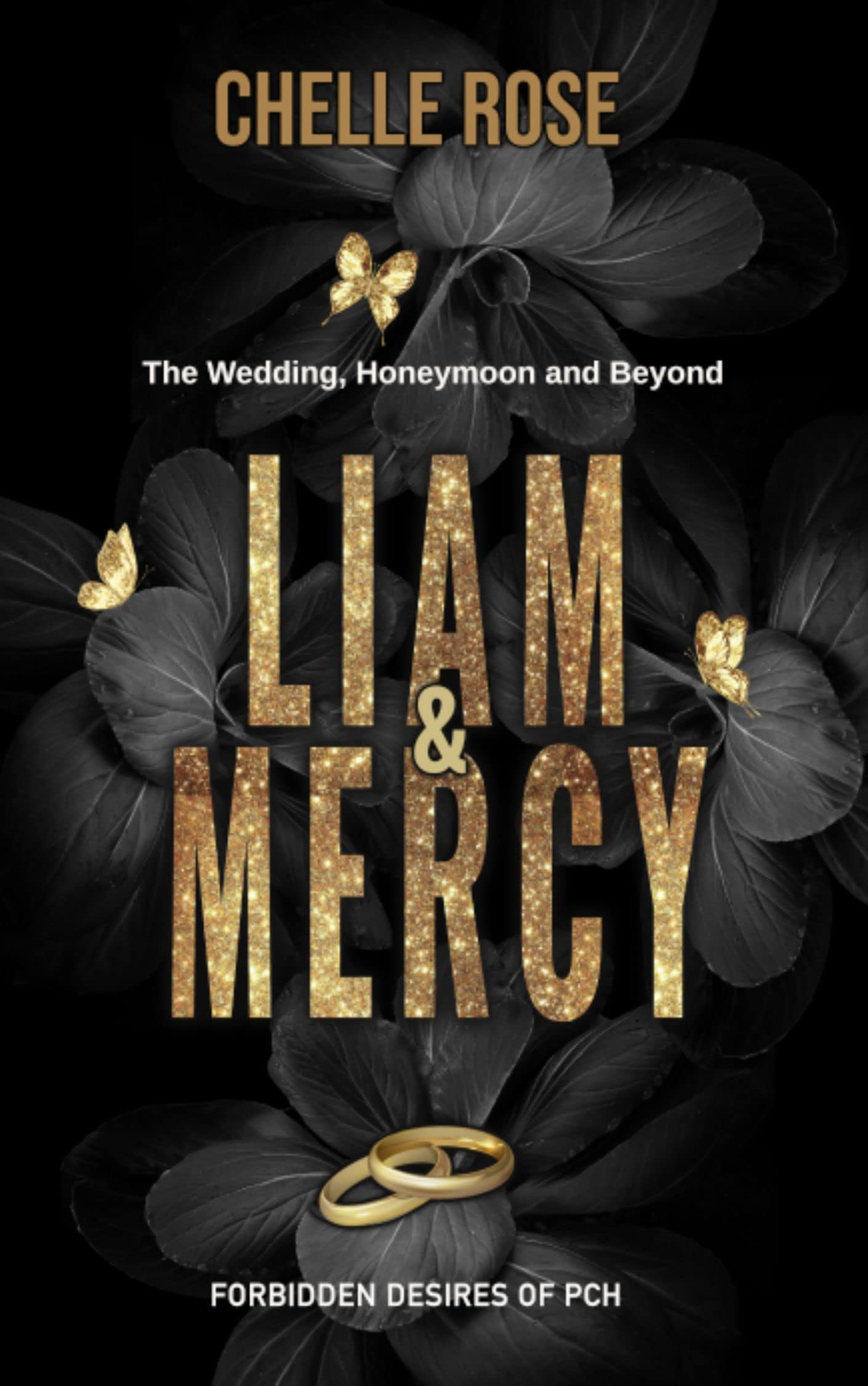 Liam and Mercy book cover