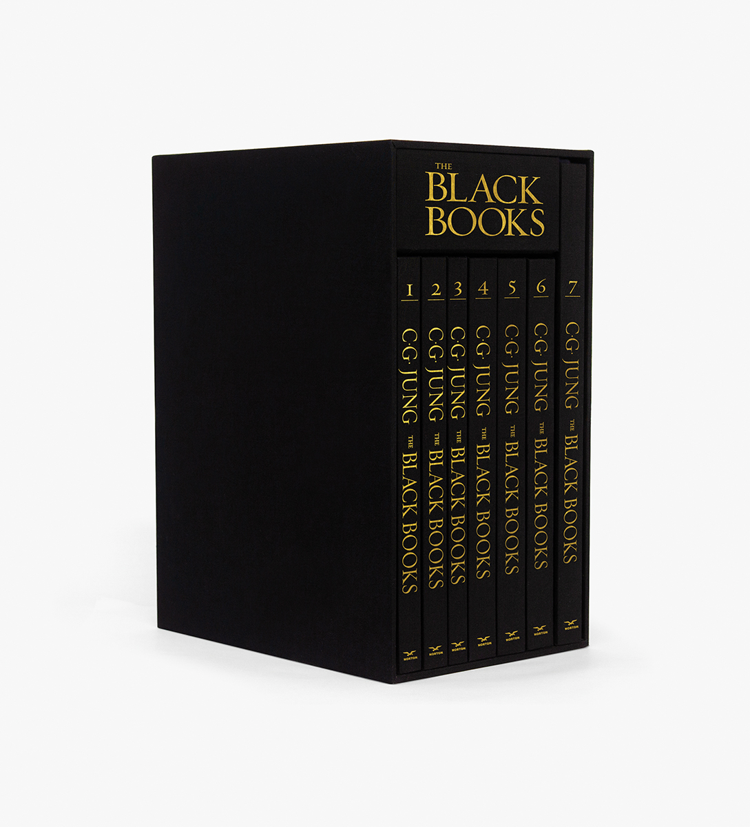 The Black Books book cover