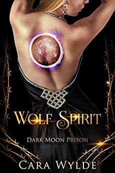 Dark Moon Prison book cover 2