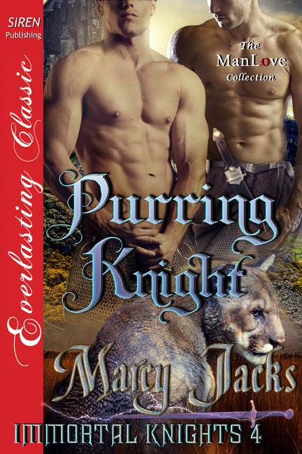 Purring Knight book cover