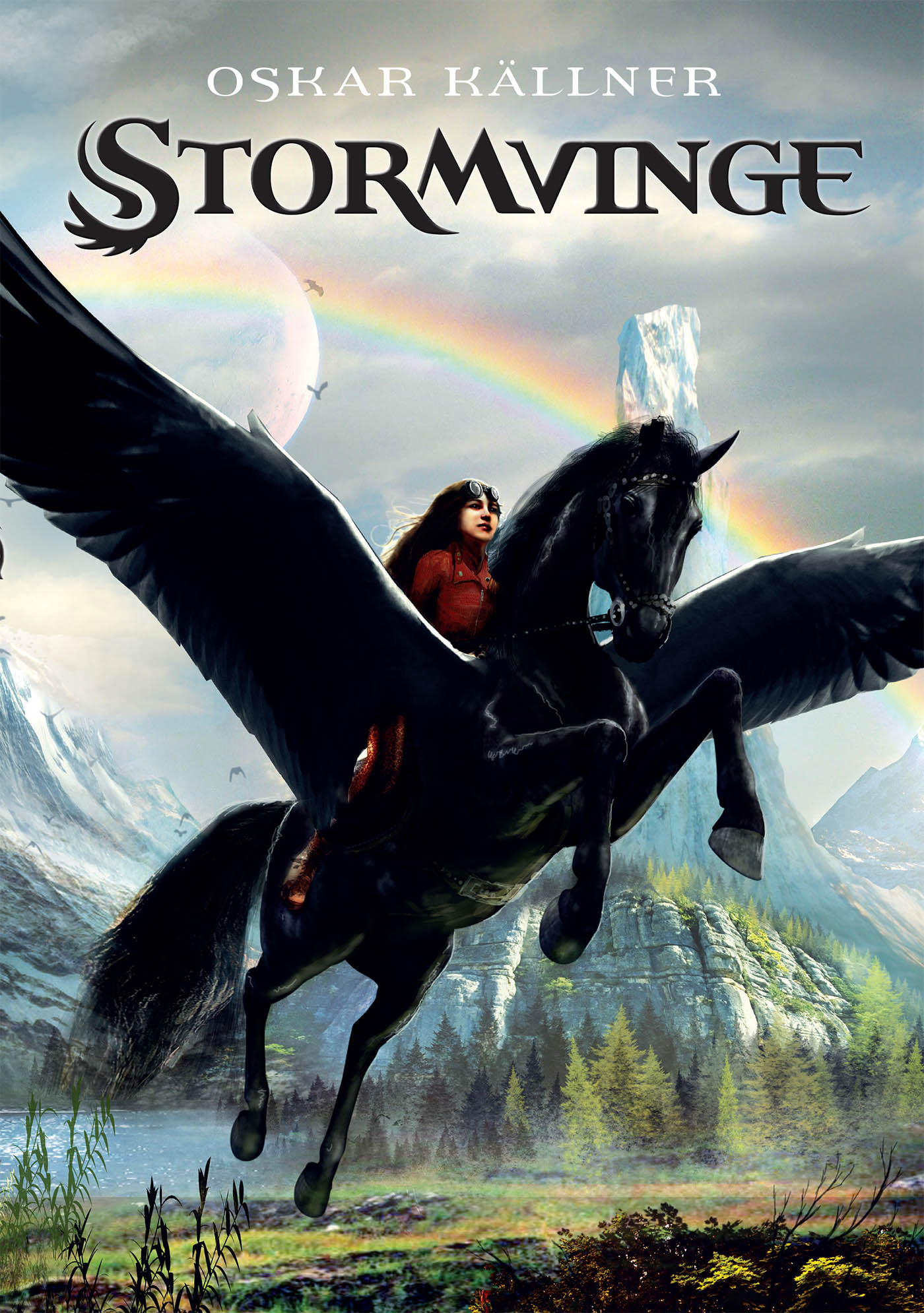 Stormvinge book cover