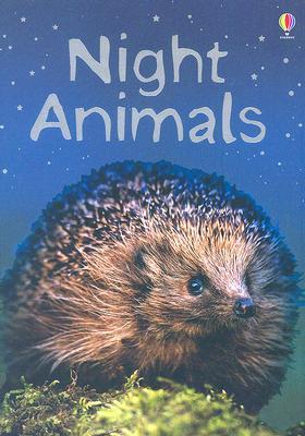 Night Animals book cover