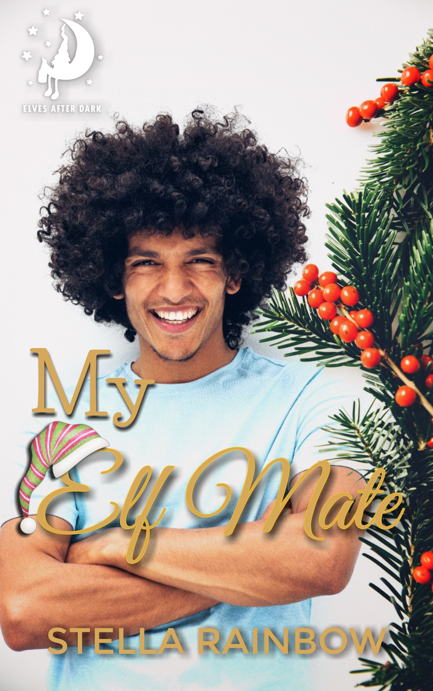 Mistvale Spinoff book cover 1