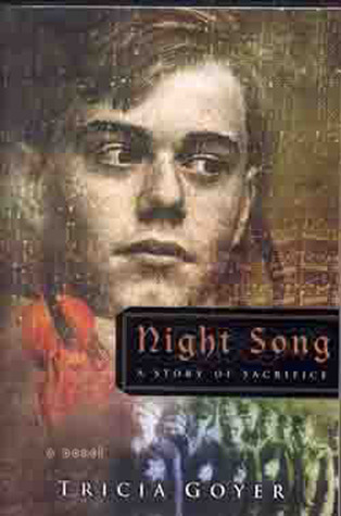 World War II Liberator book cover 2