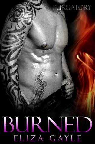 Burn book cover
