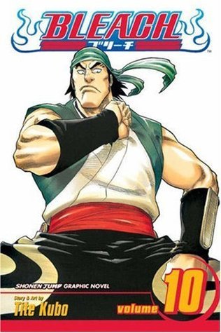 Bleach, Volume 10 book cover