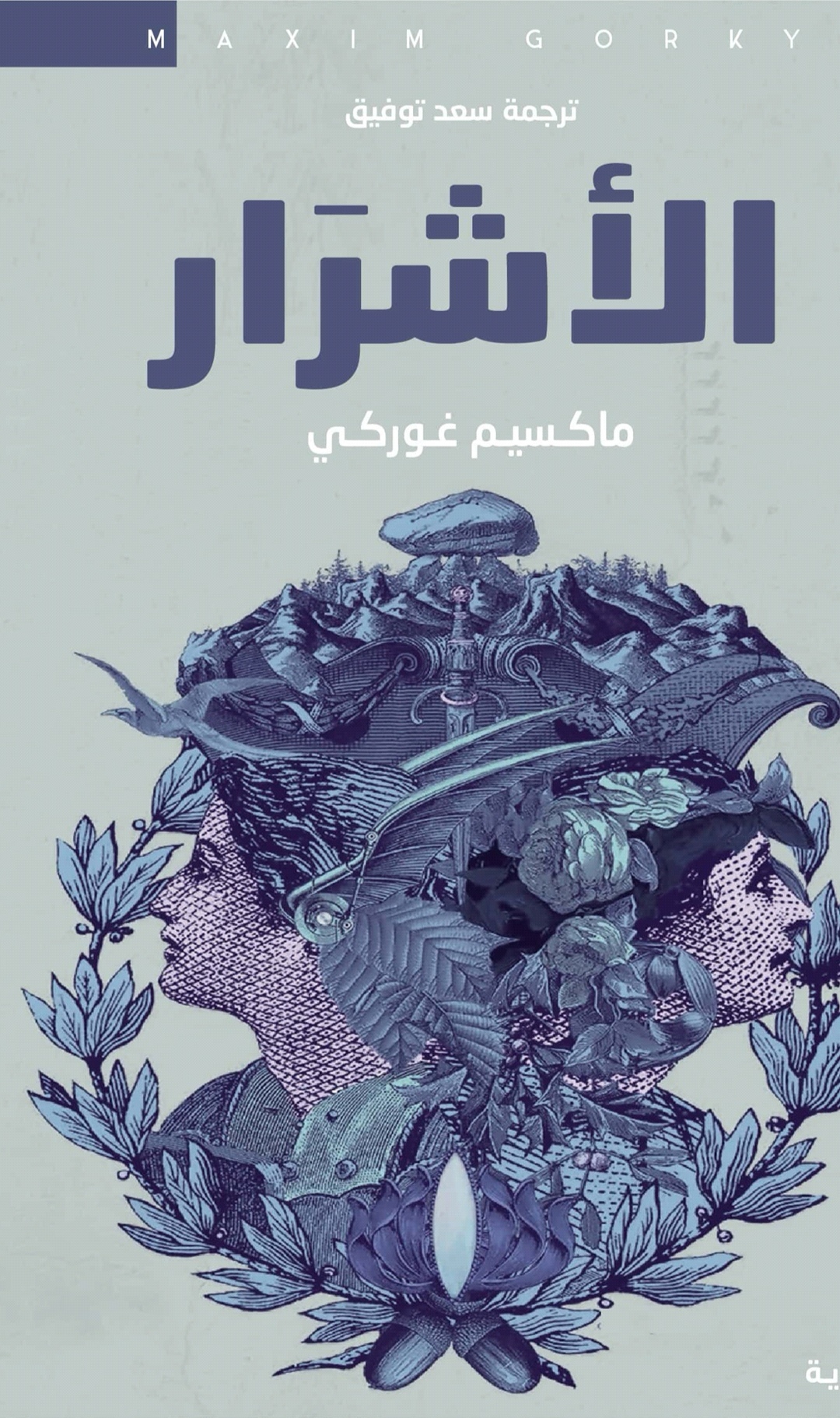 الأشرار book cover