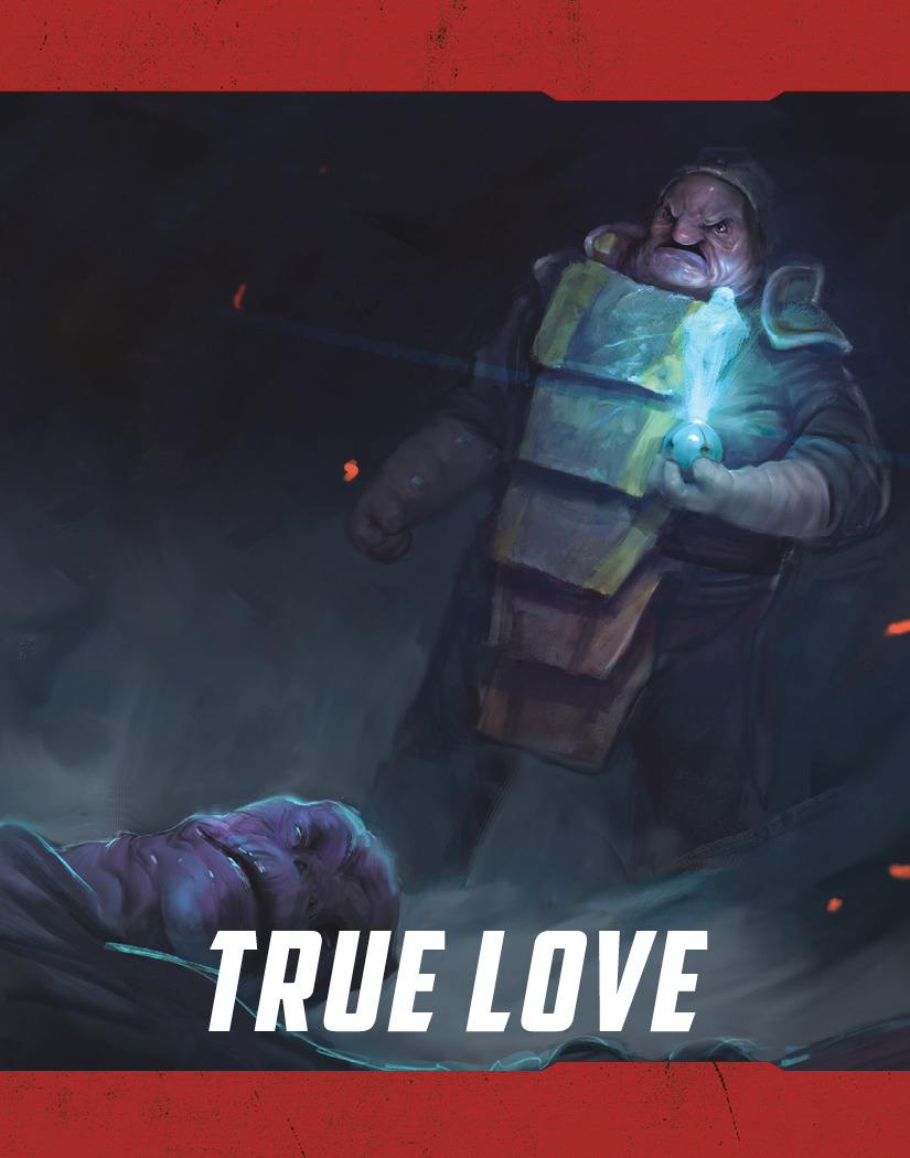True Love book cover