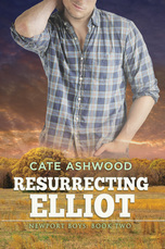 Newport Boys book cover 2