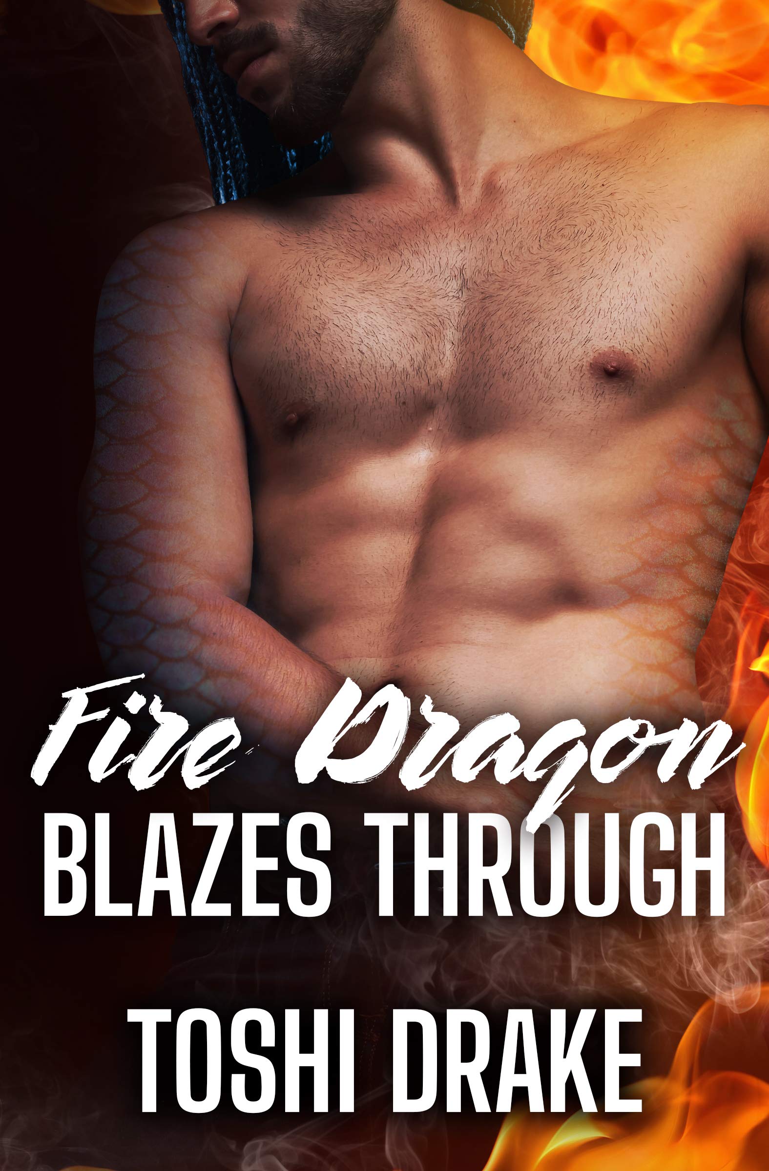 Elements of Dragons book cover 2