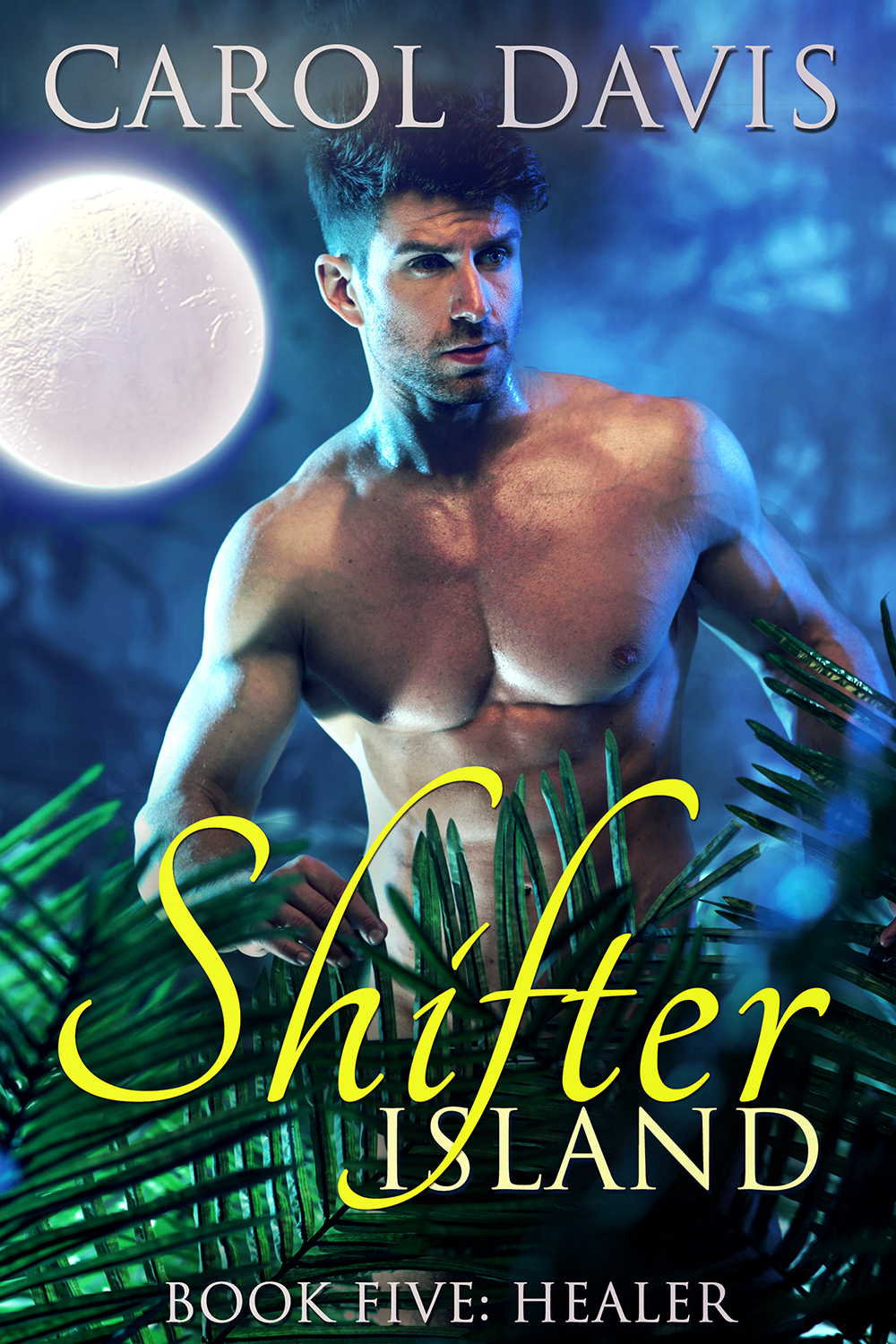 Healer book cover