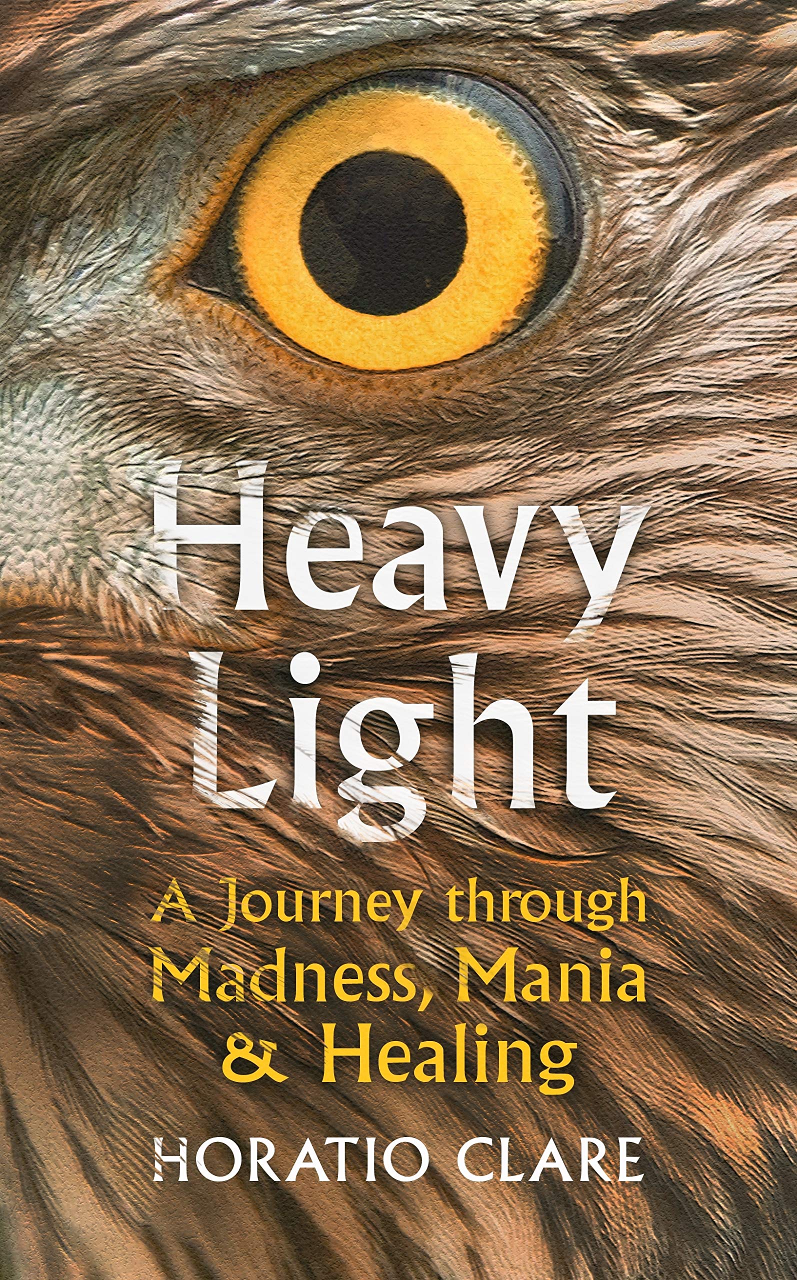 Heavy Light book cover