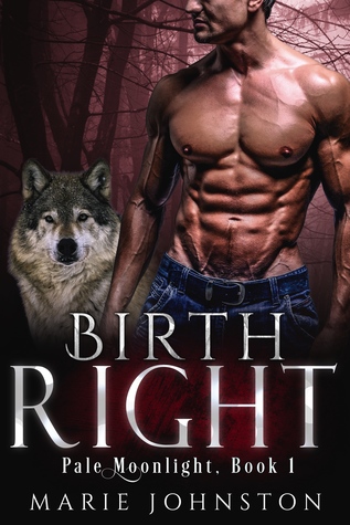 Pale Moonlight book cover 1