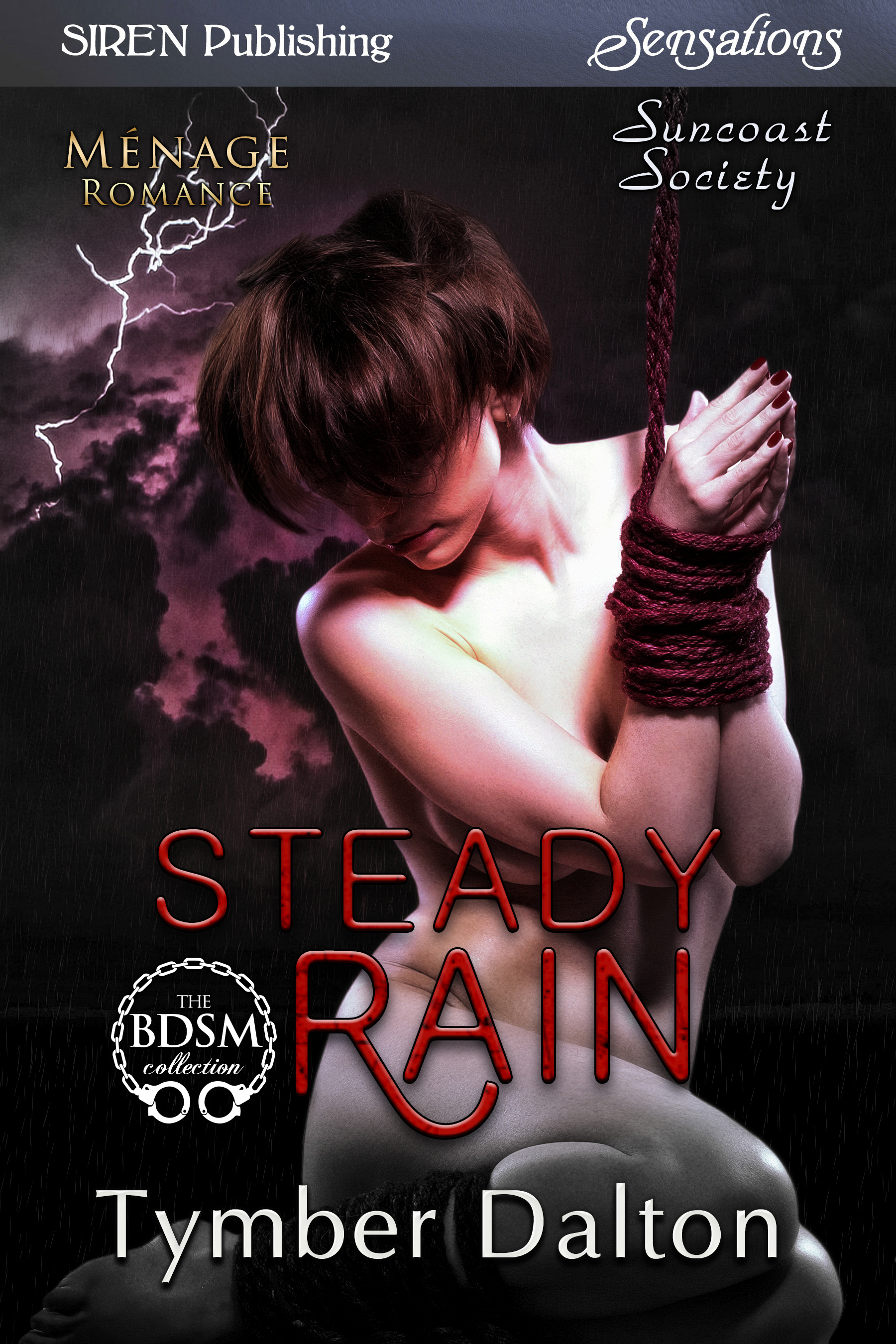 Steady Rain book cover