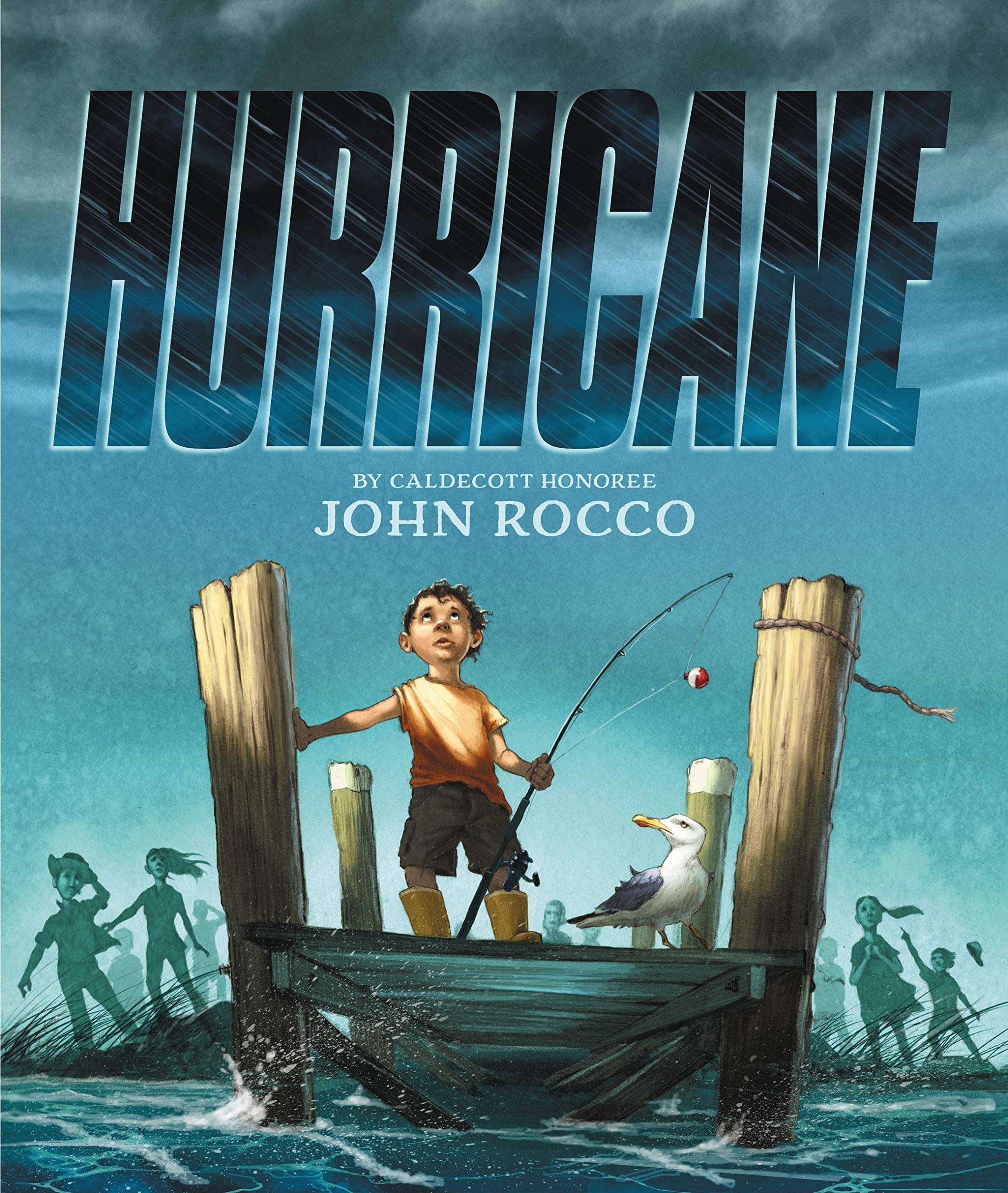Hurricane book cover