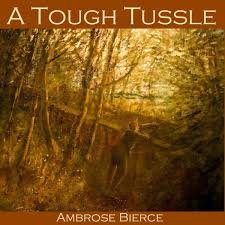A Tough Tussle book cover