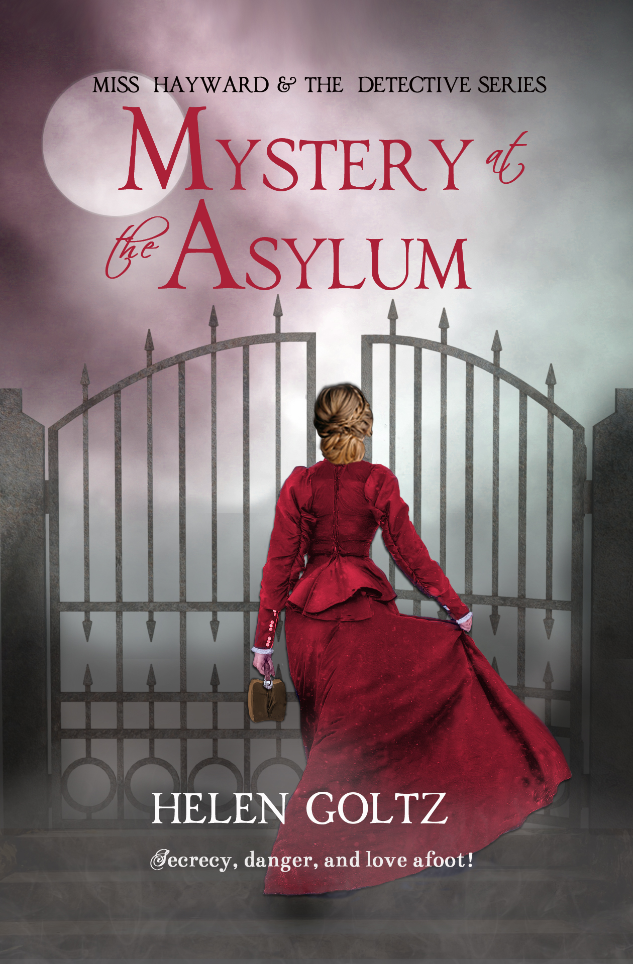 Mystery at the Asylum book cover