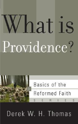 What Is Providence? book cover