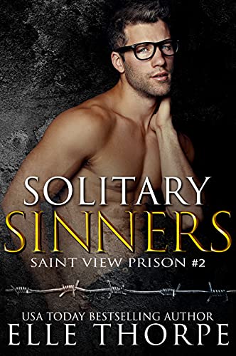 Saint View Prison book cover 2