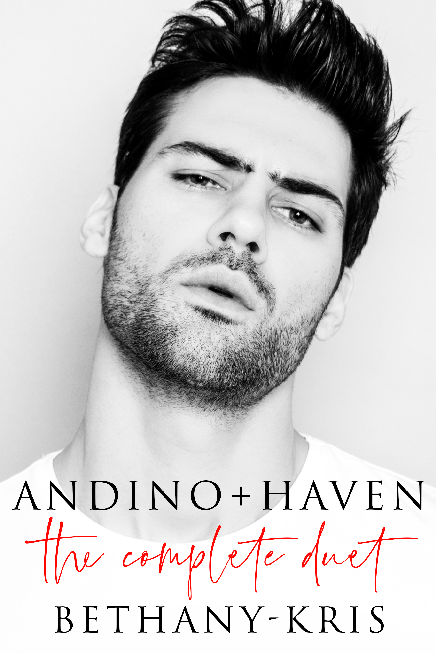 Andino + Haven book cover