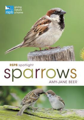 RSPB Spotlight Sparrows book cover