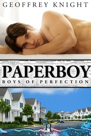 Boys of Perfection book cover 1