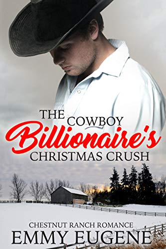 Chestnut Ranch book cover 3