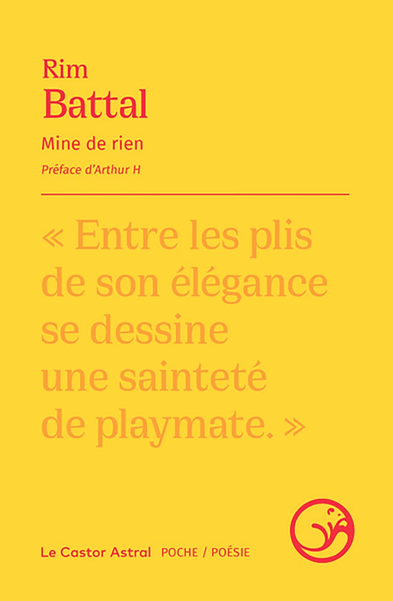 Mine de rien book cover