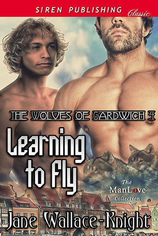 Learning to Fly book cover