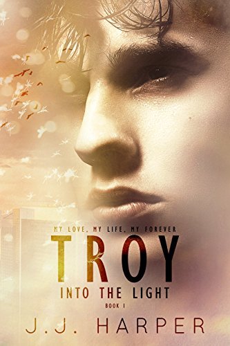 Troy book cover