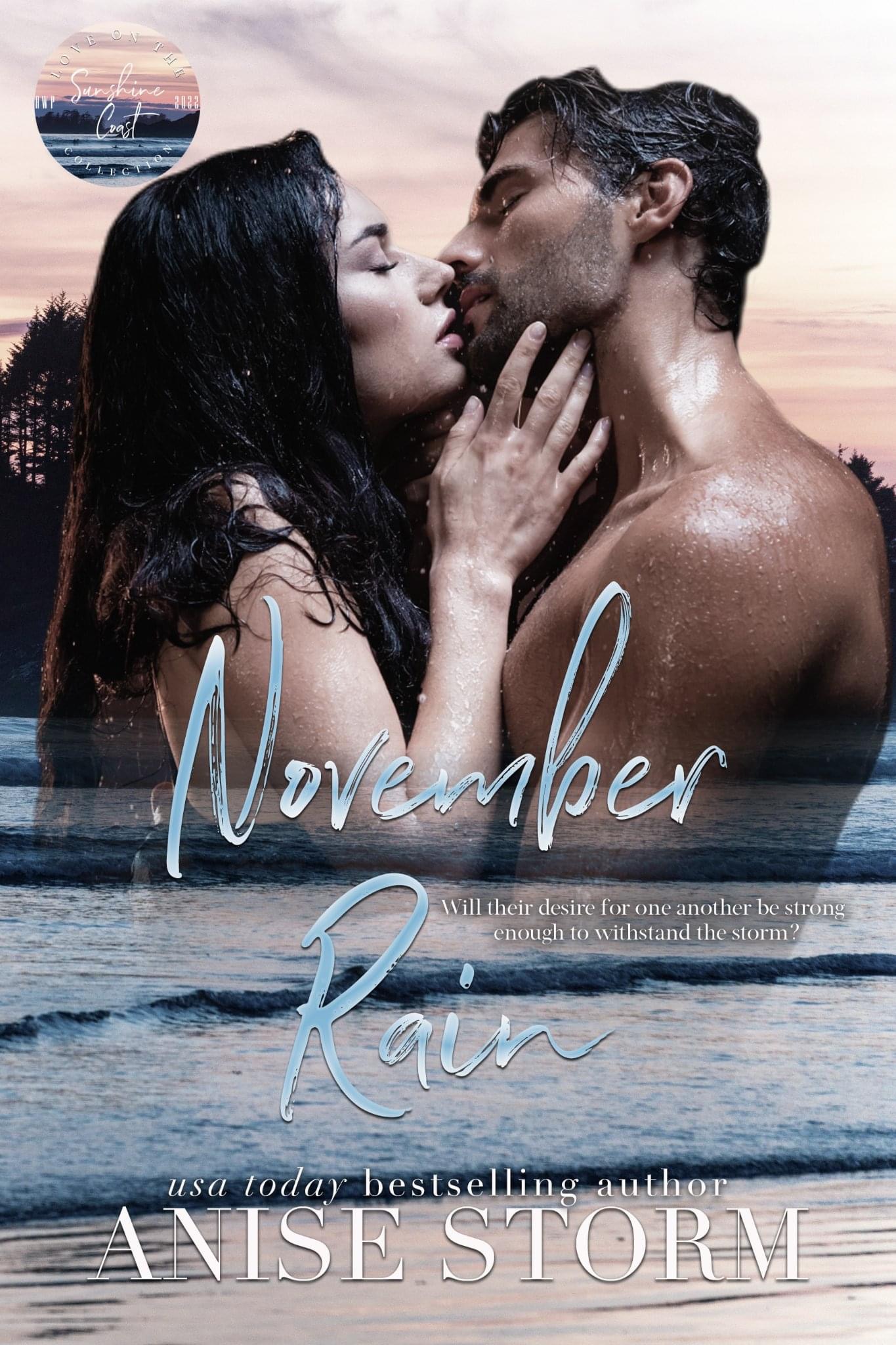 November Rain book cover