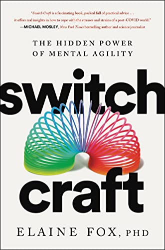 Switch Craft book cover
