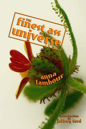 The Finest Ass in the Universe book cover