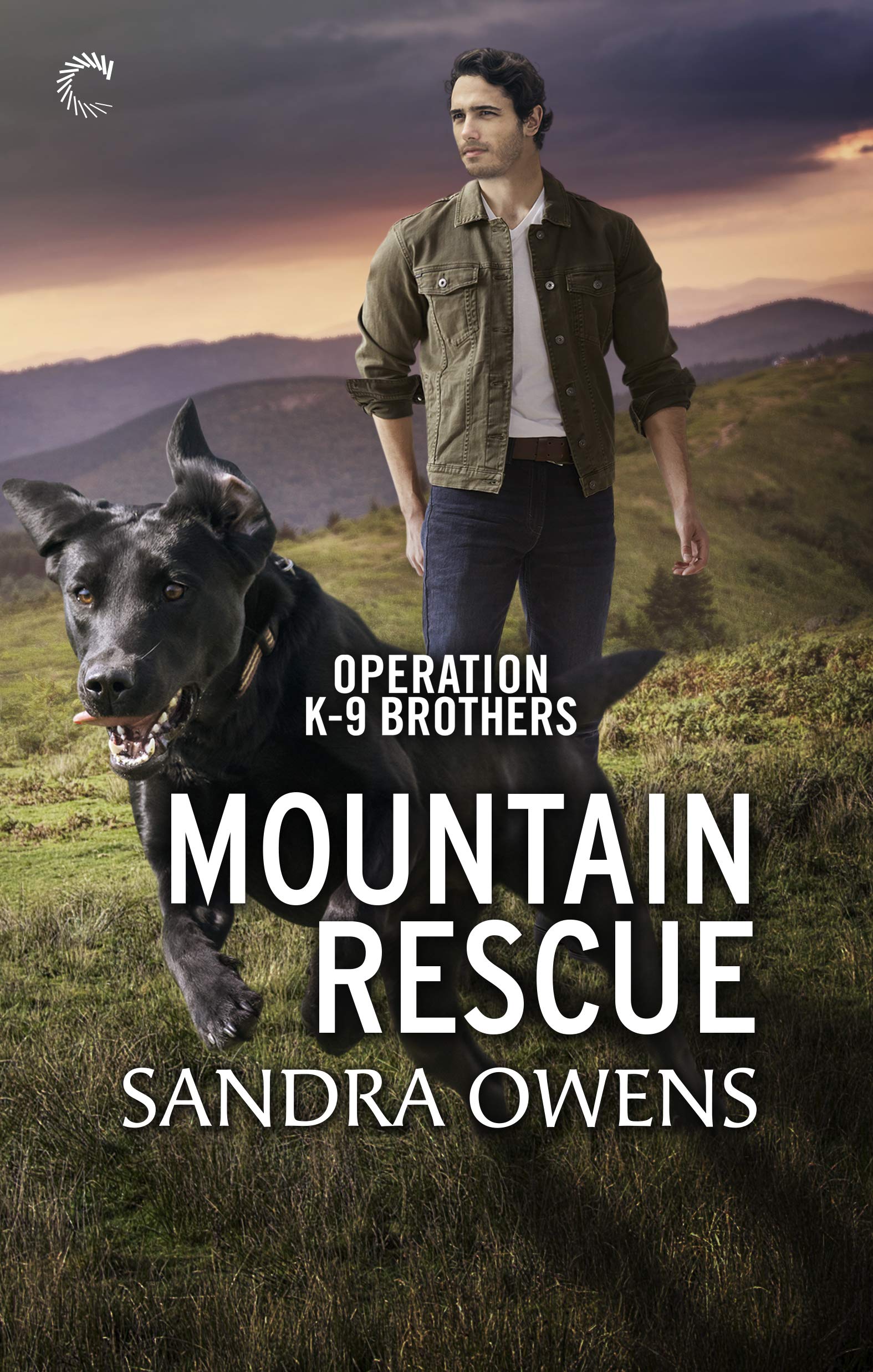 Operation K-9 Brothers book cover 3