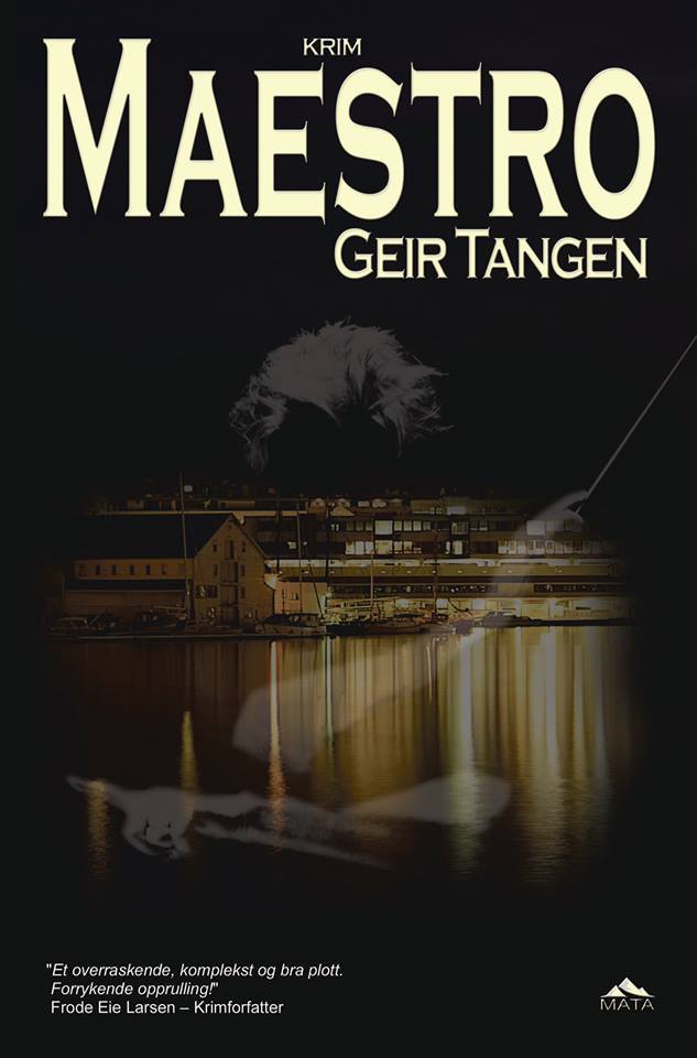 Gudmundsson & Skeisvoll book cover 1