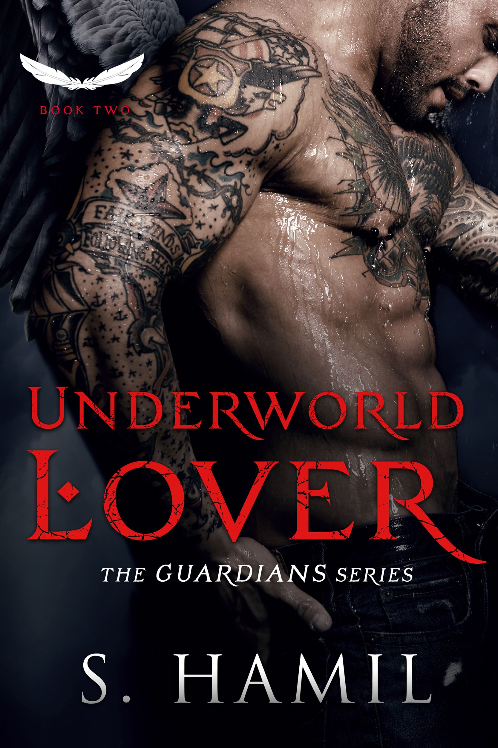 The Guardians book cover 2