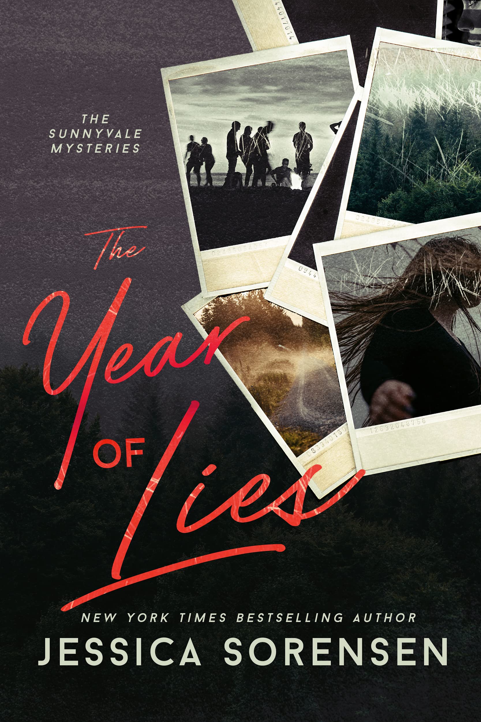The Year of Lies book cover