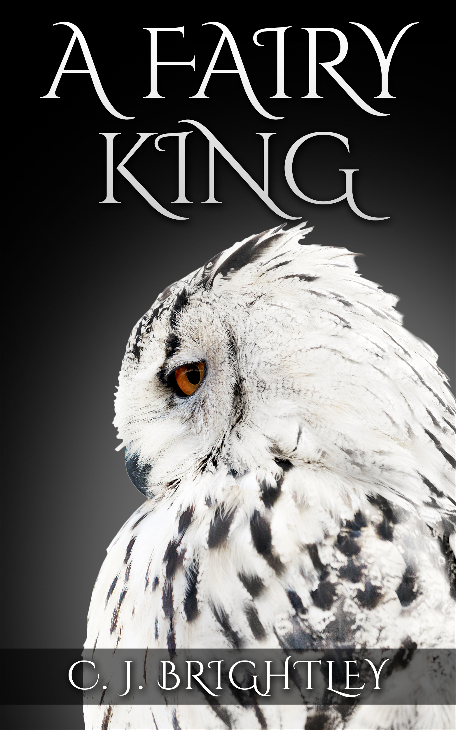 Fairy King book cover 1