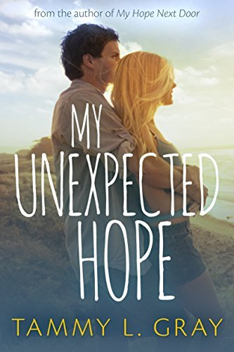 The Fairfield book cover 2