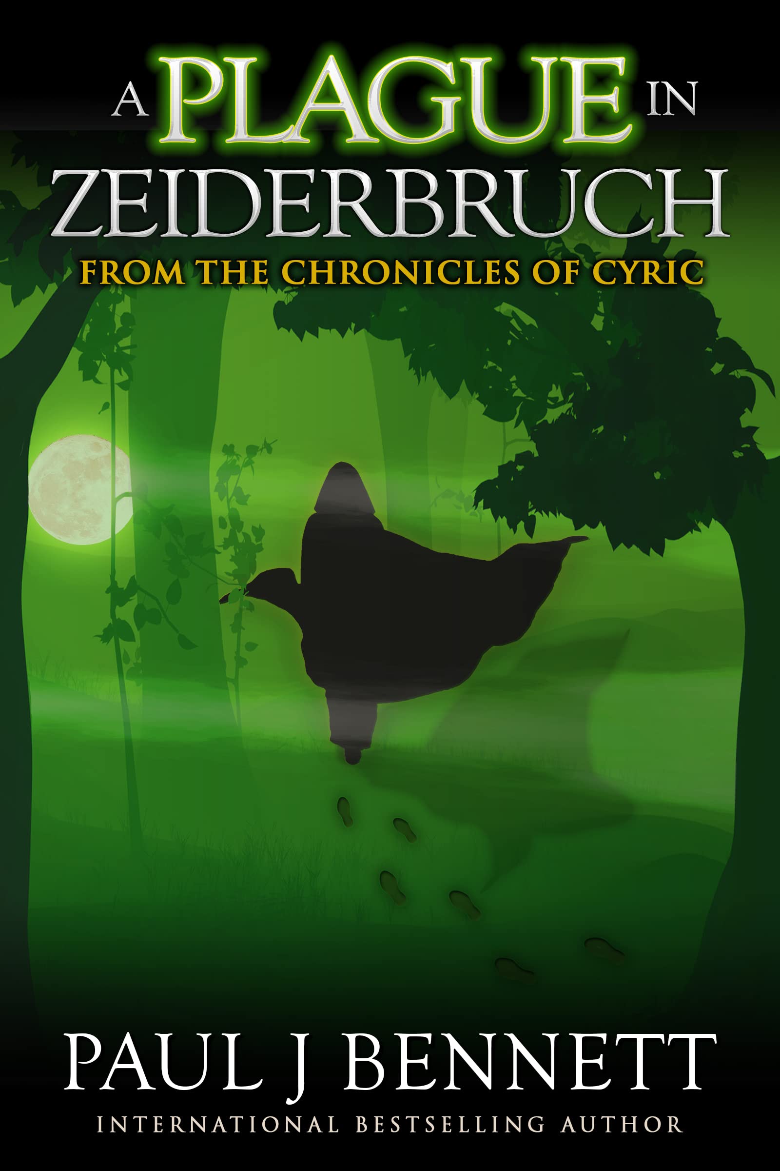 A Plague in Zeiderbruch book cover