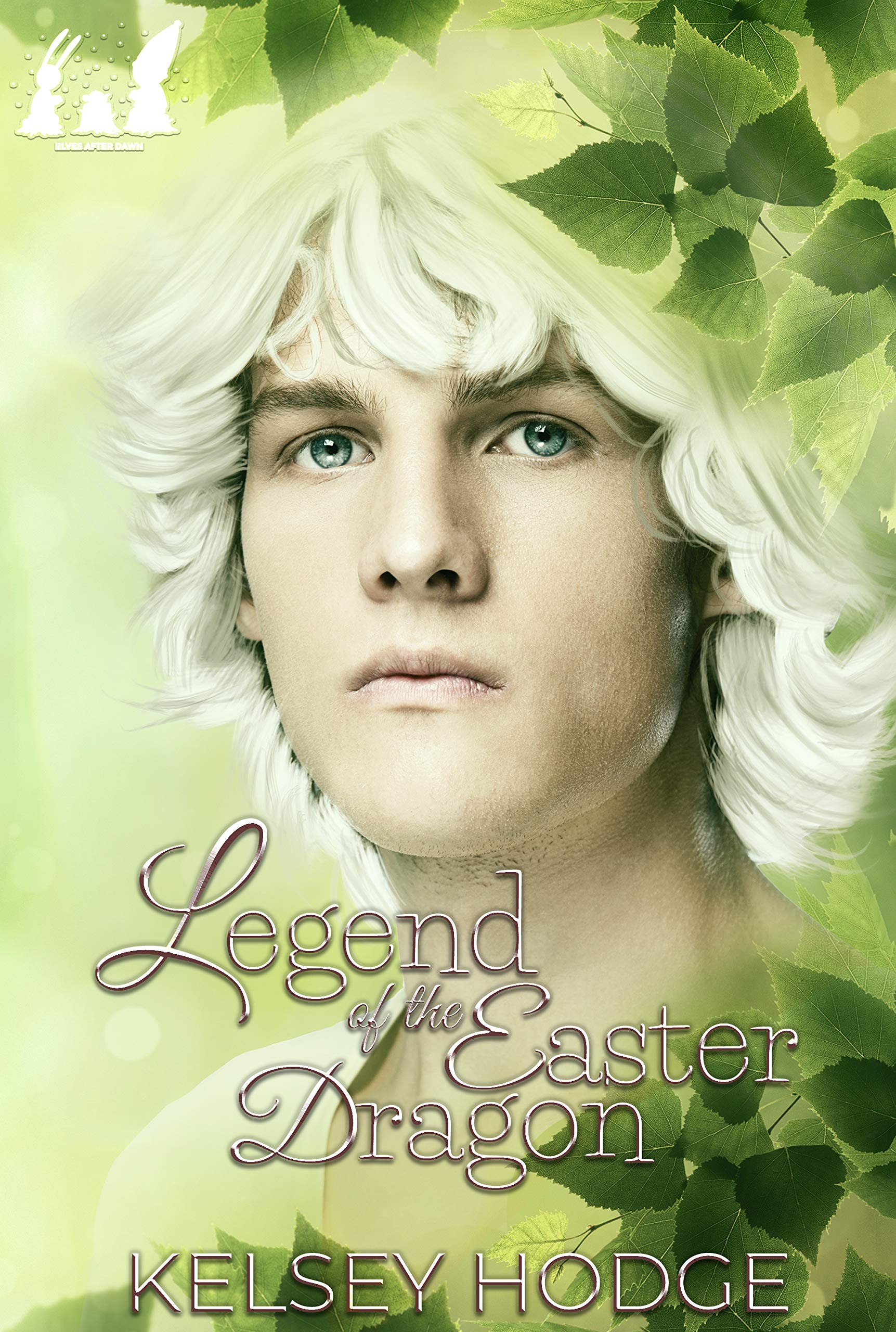 Elves After Dawn book cover 3