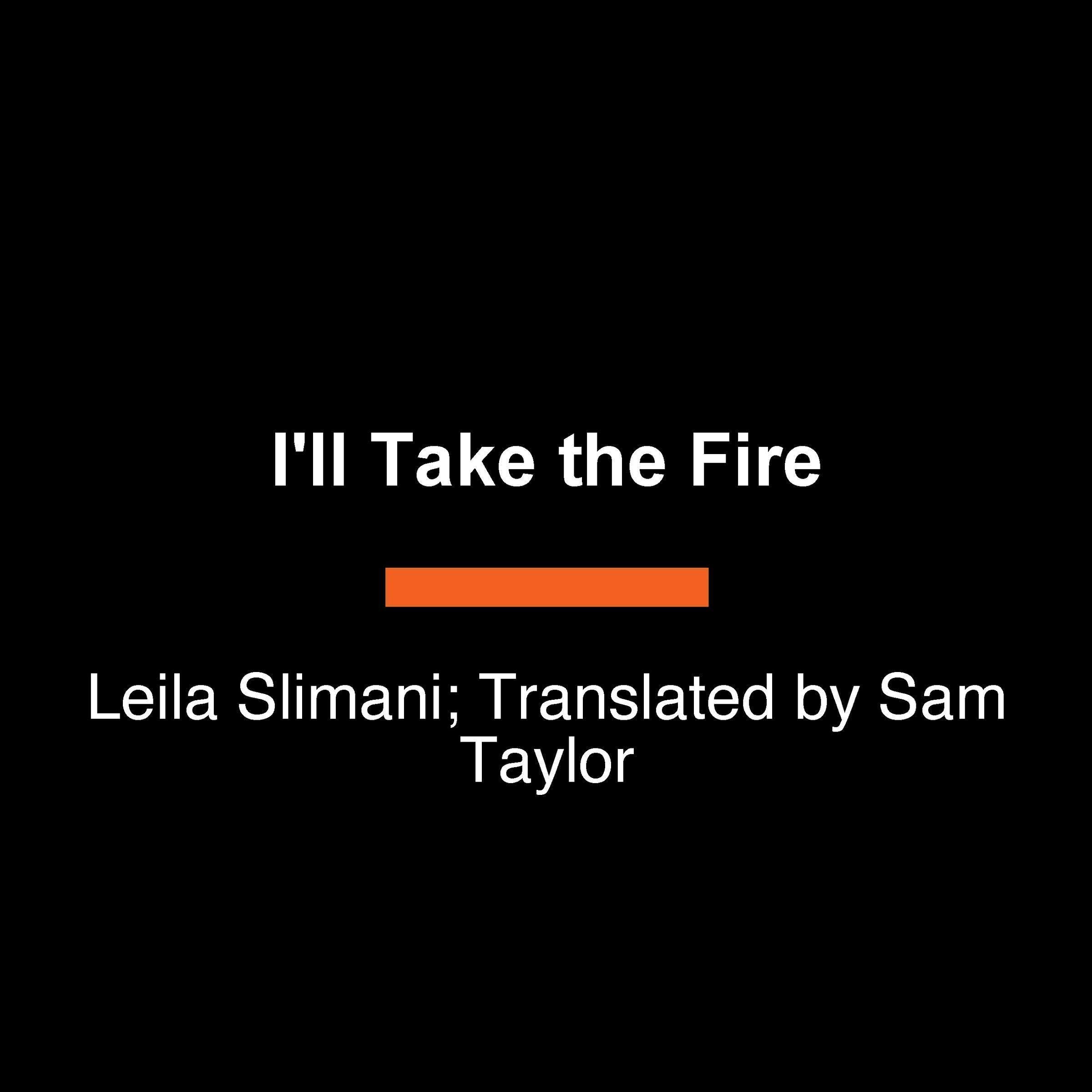 I'll Take the Fire book cover