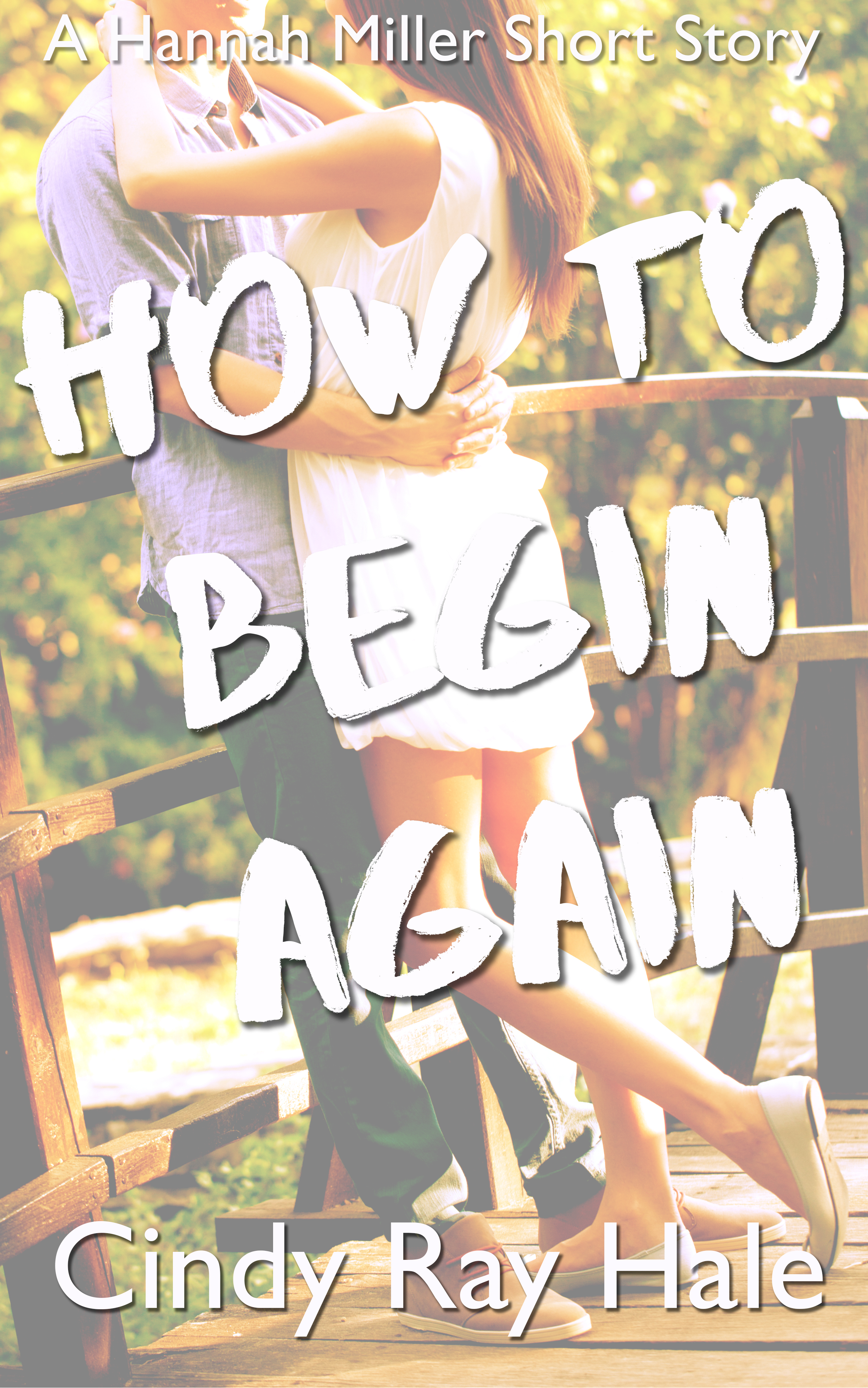 How to Begin Again book cover