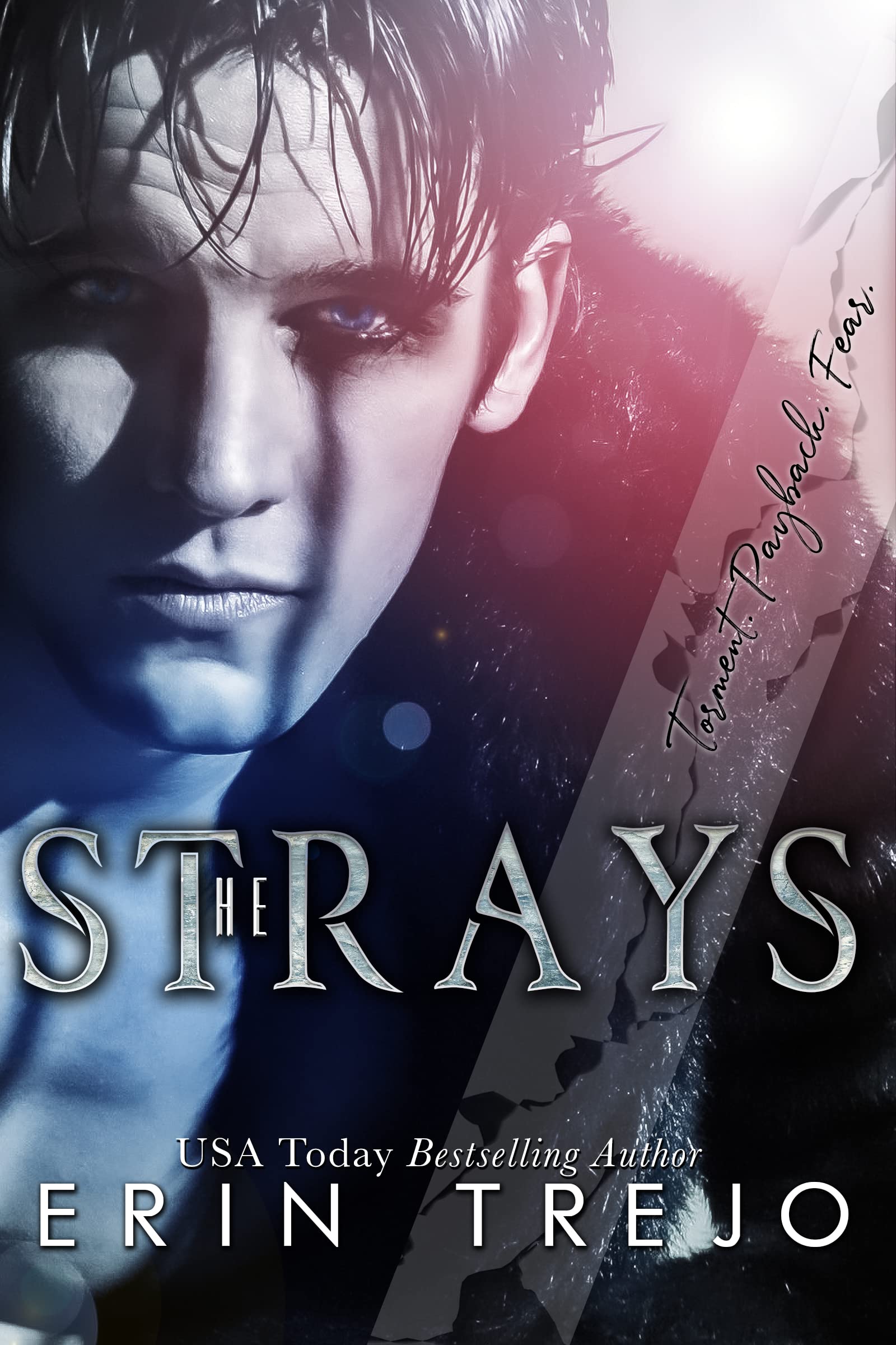 The Strays book cover